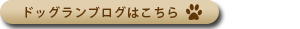 ドッグランブログはコチラ