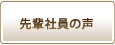 先輩社員の声