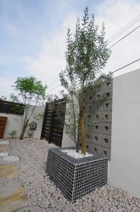 植栽　常緑樹