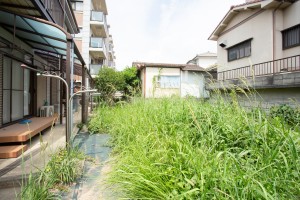 雑草対策前 庭の雑草対策