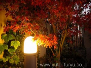 紅葉　2