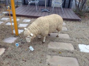 EXIS LAND 羊