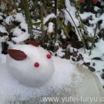 雪うさぎ