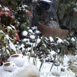 筧　雪うさぎ