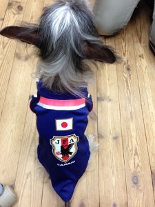 ぱおはサッカー日本代表を応援しています！