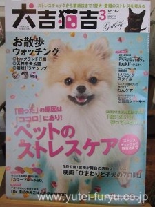 犬吉猫吉最新号！３月