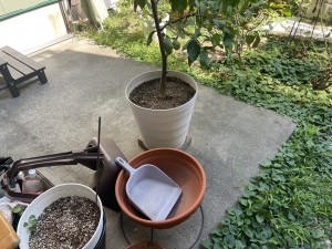 庭リフォーム施工前