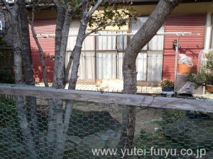 のんびりとお昼寝中
