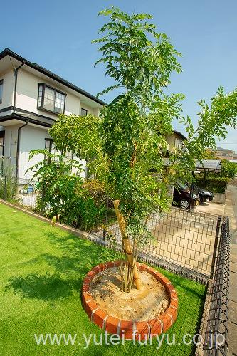 人工芝　植栽くり抜き