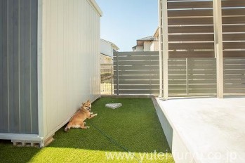 人工芝 プラスワン