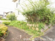 目隠し施工前