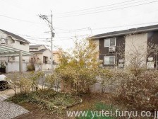 目隠しフェンス施工前